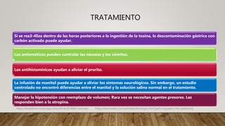 TRATAMIENTO
Si se rea3-4liza dentro de las horas posteriores a la ingestión de la toxina, la descontaminación gástrica con
carbón activado puede ayudar.
Los antieméticos pueden controlar las náuseas y los vómitos.
Los antihistamínicos ayudan a aliviar el prurito.
La infusión de manitol puede ayudar a aliviar los síntomas neurológicos. Sin embargo, un estudio
controlado no encontró diferencias entre el manitol y la solución salina normal en el tratamiento.
Manejar la hipotensión con reemplazo de volumen; Rara vez se necesitan agentes presores. Las
responden bien a la atropina.
https://emedicine.medscape.com/article/813869-overview. https://teksmedik.com/uptodate20/d/topic.htm?path=ciguatera-fish-poisoning
 
