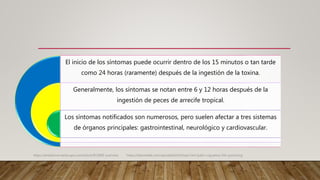 El inicio de los síntomas puede ocurrir dentro de los 15 minutos o tan tarde
como 24 horas (raramente) después de la ingestión de la toxina.
Generalmente, los síntomas se notan entre 6 y 12 horas después de la
ingestión de peces de arrecife tropical.
Los síntomas notificados son numerosos, pero suelen afectar a tres sistemas
de órganos principales: gastrointestinal, neurológico y cardiovascular.
https://emedicine.medscape.com/article/813869-overview. https://teksmedik.com/uptodate20/d/topic.htm?path=ciguatera-fish-poisoning
 