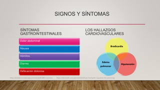 SIGNOS Y SÍNTOMAS
SÍNTOMAS
GASTROINTESTINALES
Dolor abdominal
Náusea
Vómitos
Diarrea
Defecación dolorosa
LOS HALLAZGOS
CARDIOVASCULARES
Bradicardia
Hipotensión
Edema
pulmonar
https://emedicine.medscape.com/article/813869-overview. https://teksmedik.com/uptodate20/d/topic.htm?path=ciguatera-fish-poisoning
 