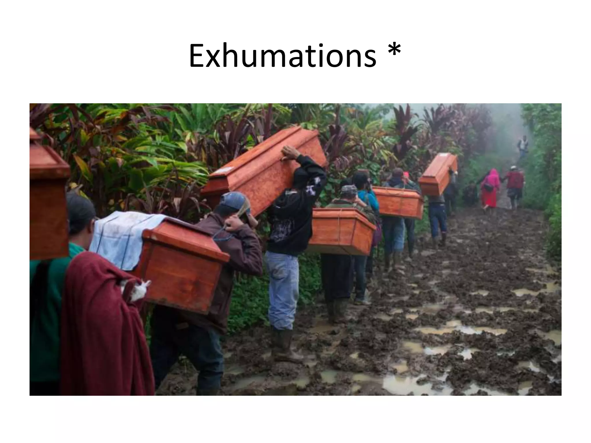 Exhumations *
 