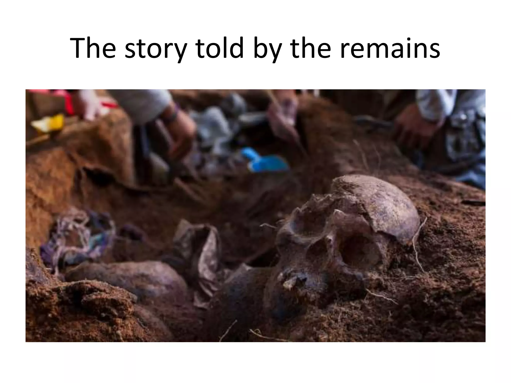 The story told by the remains
 