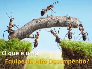 O que é uma
Equipe de Alto Desempenho?
 
