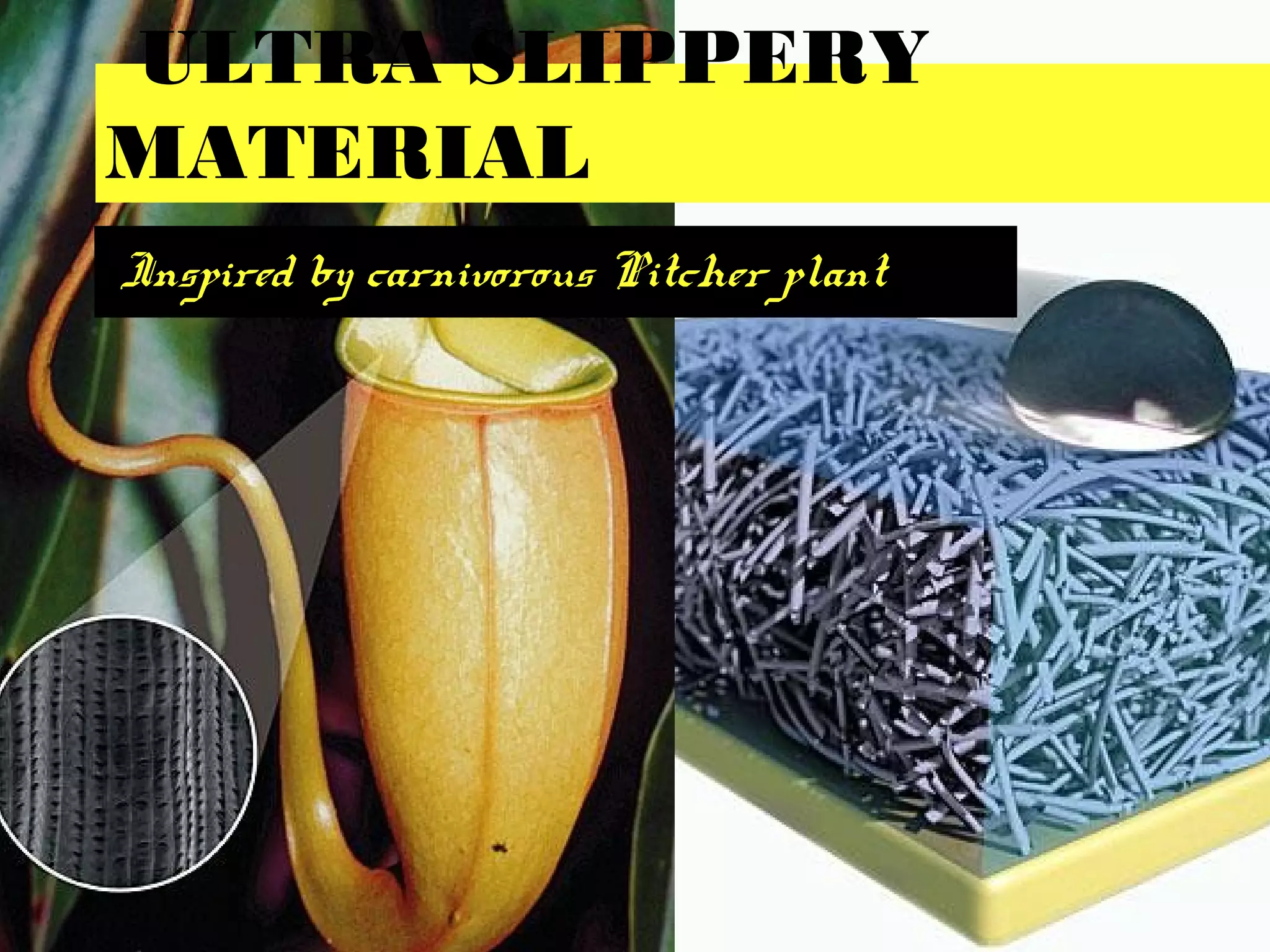 ULTRA SLIPPERY
MATERIAL
Inspired by carnivorous Pitcher plant
 