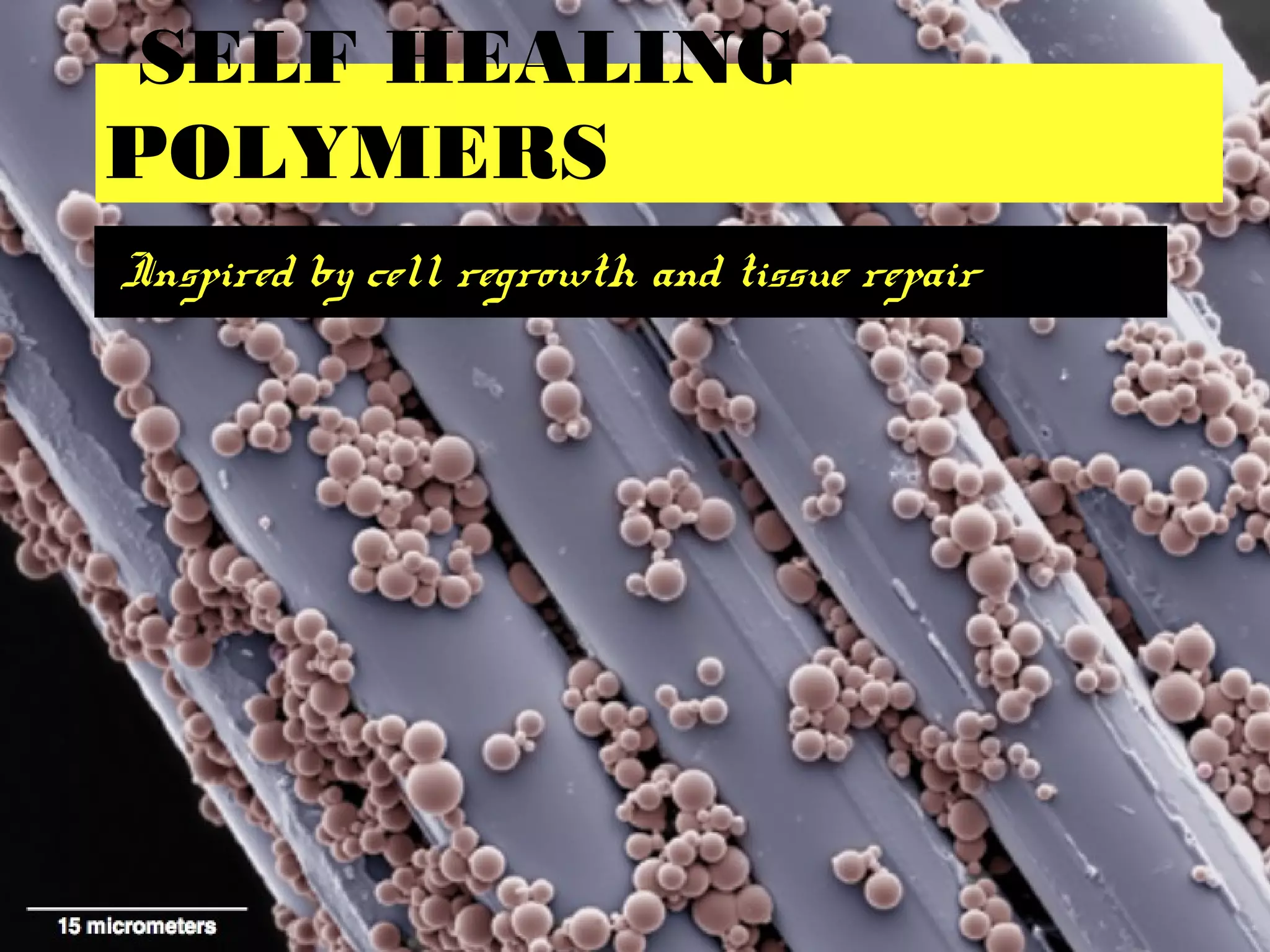 SELF HEALING
POLYMERS
Inspired by cell regrowth and tissue repair
 