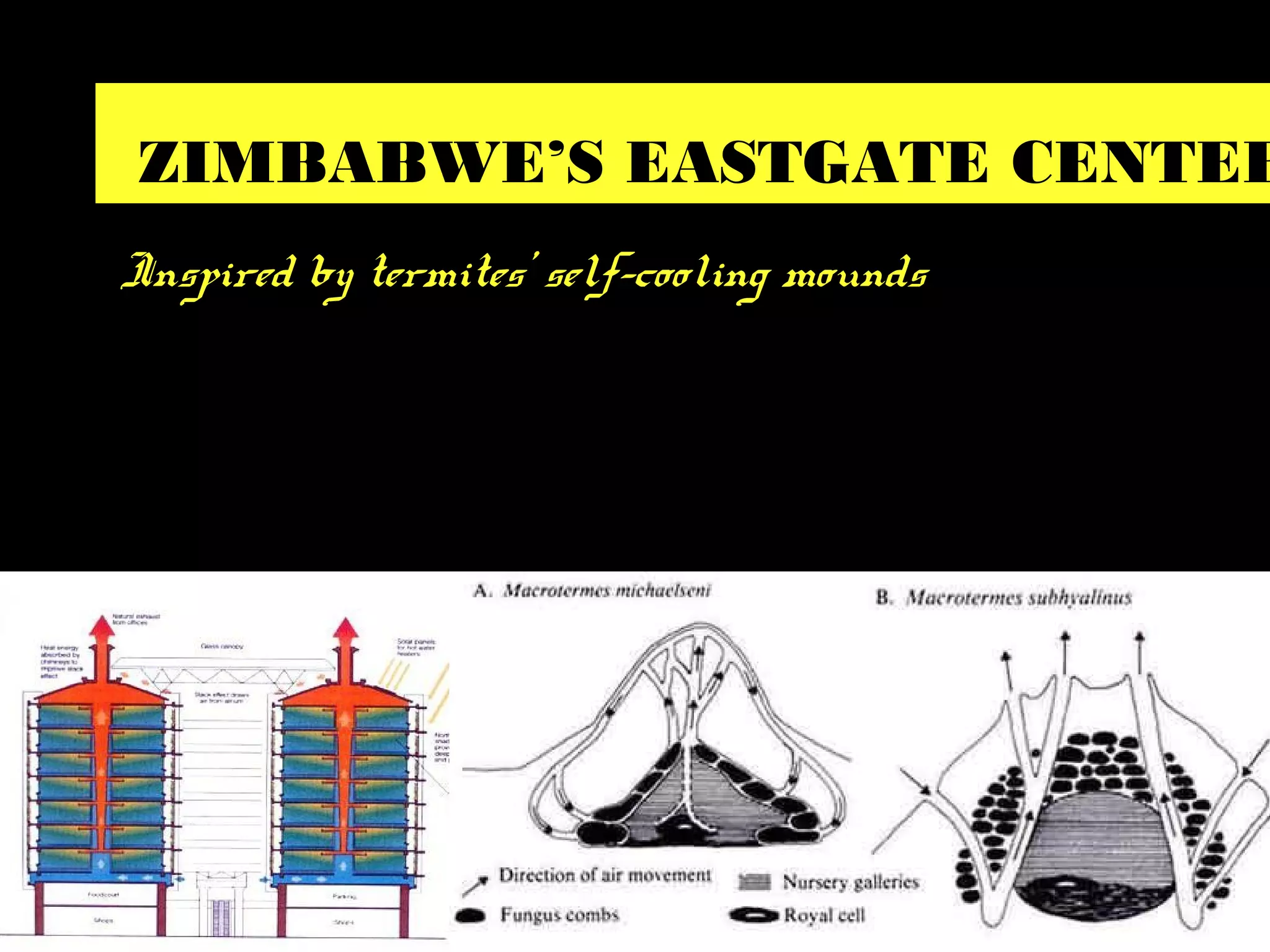 ZIMBABWE’S EASTGATE CENTER
Inspired by termites’ self-cooling mounds
 