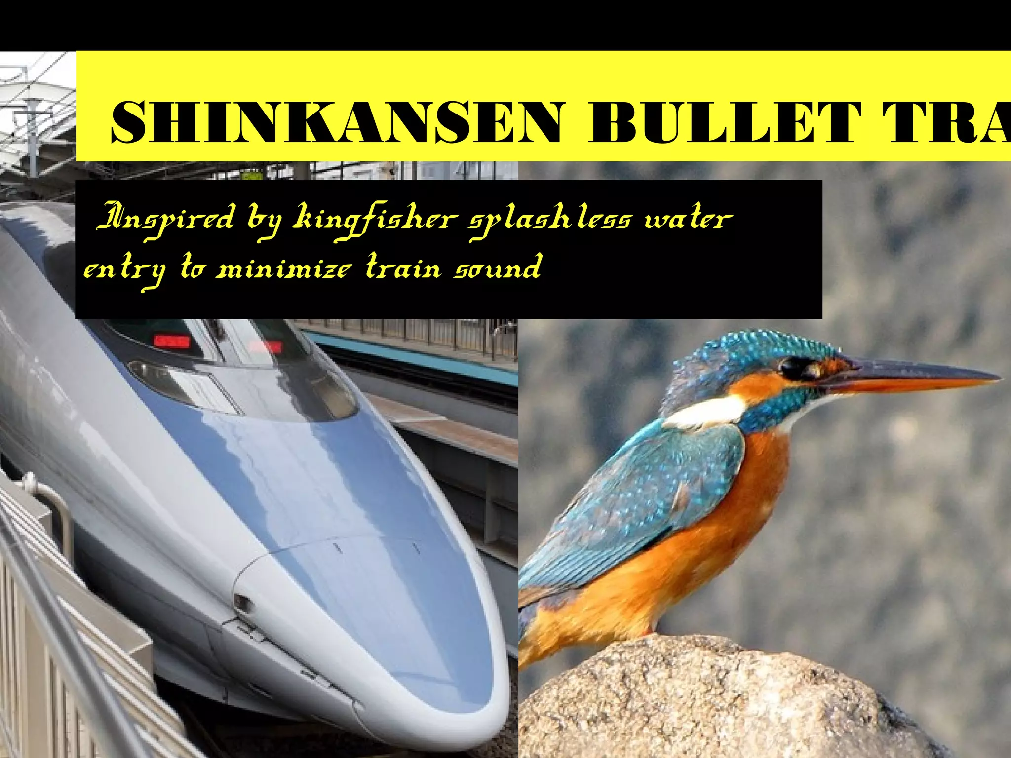SHINKANSEN BULLET TRA
Inspired by kingfisher splashless water
entry to minimize train sound
 