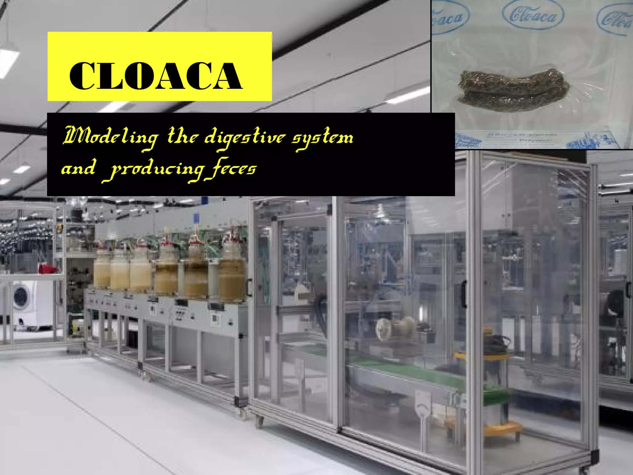 CLOACA
Modeling the digestive system
and producing feces
 