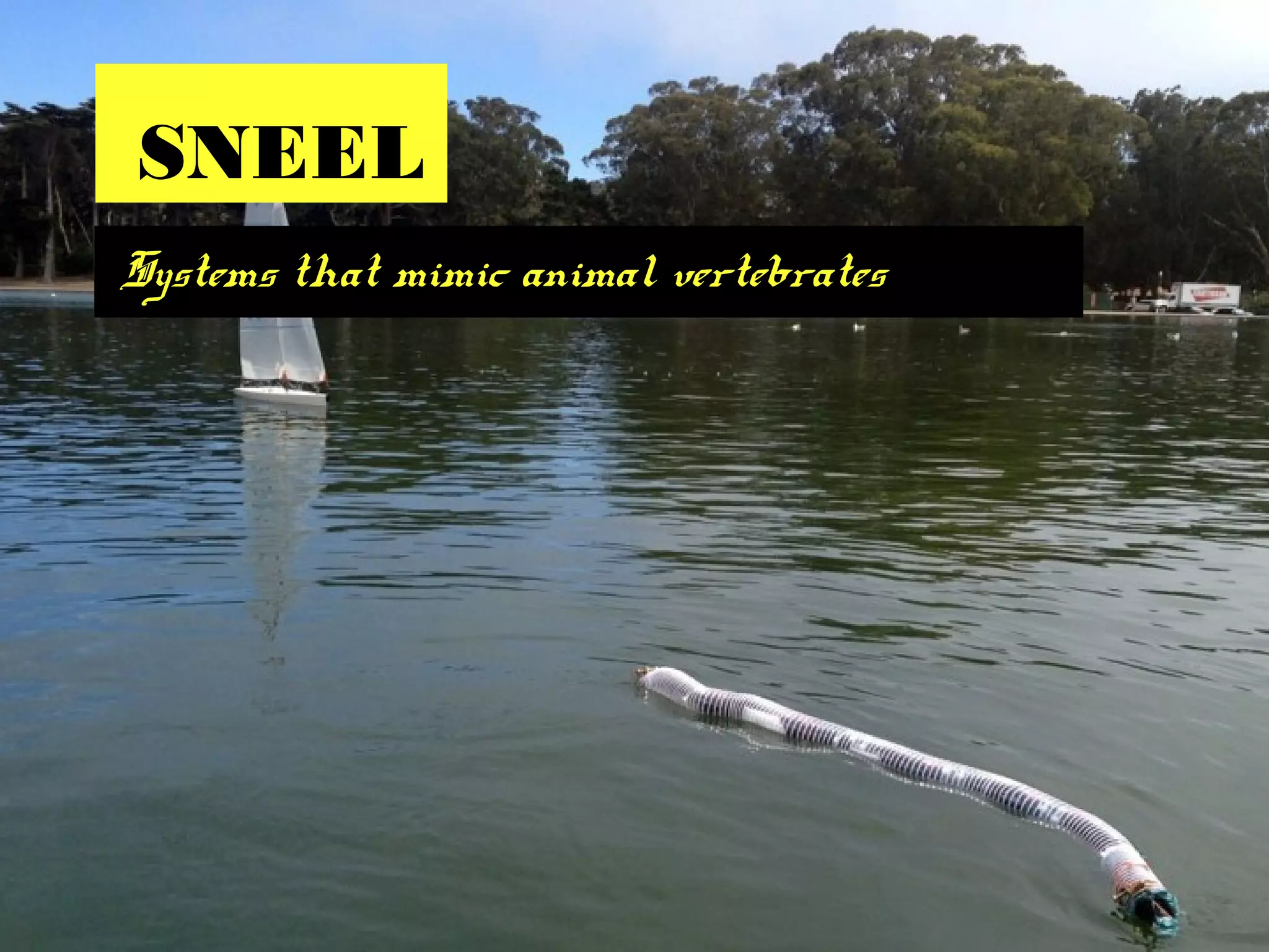 SNEEL
Systems that mimic animal vertebrates
 
