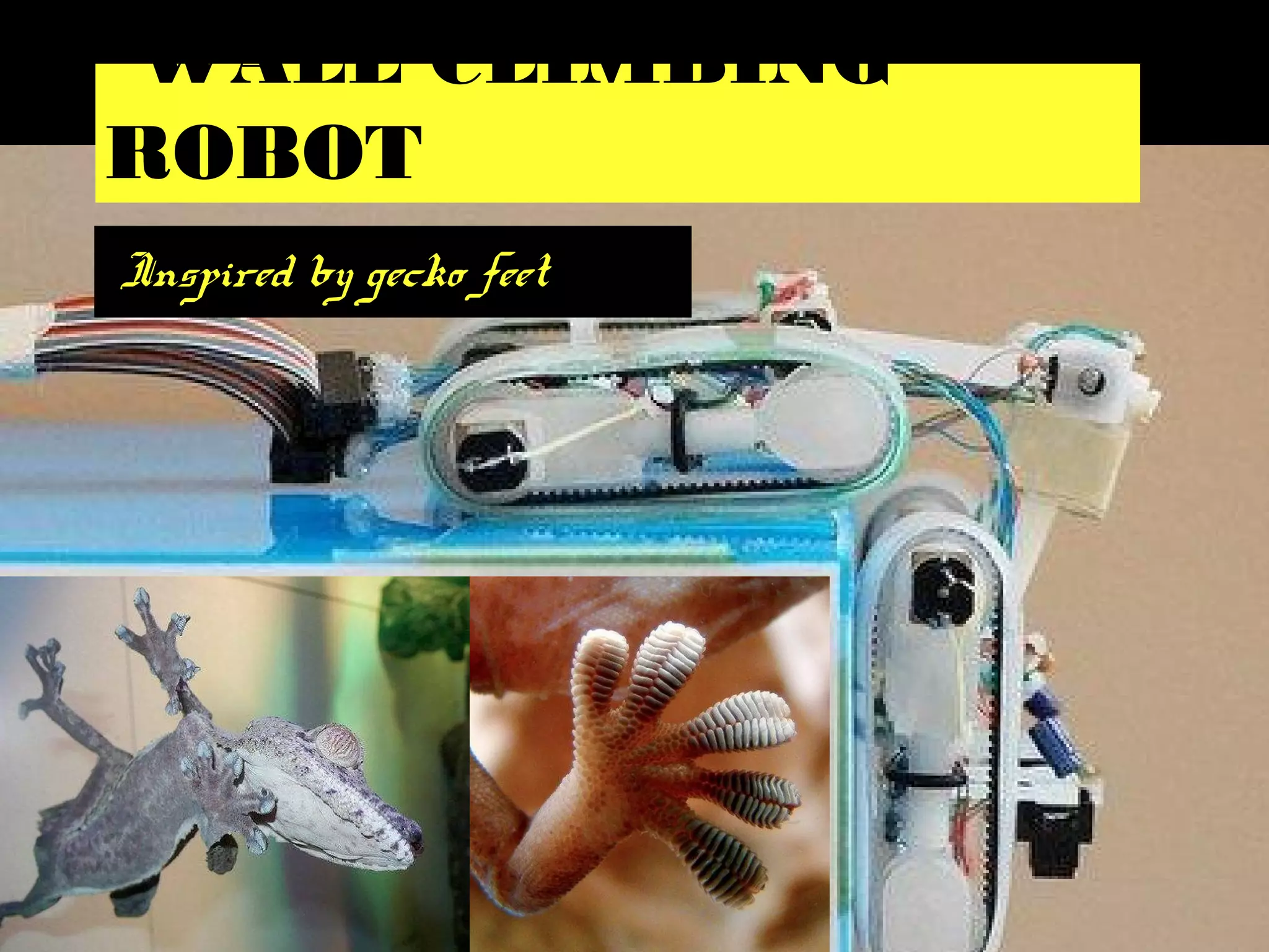 WALL CLIMBING
ROBOT
Inspired by gecko feet
 