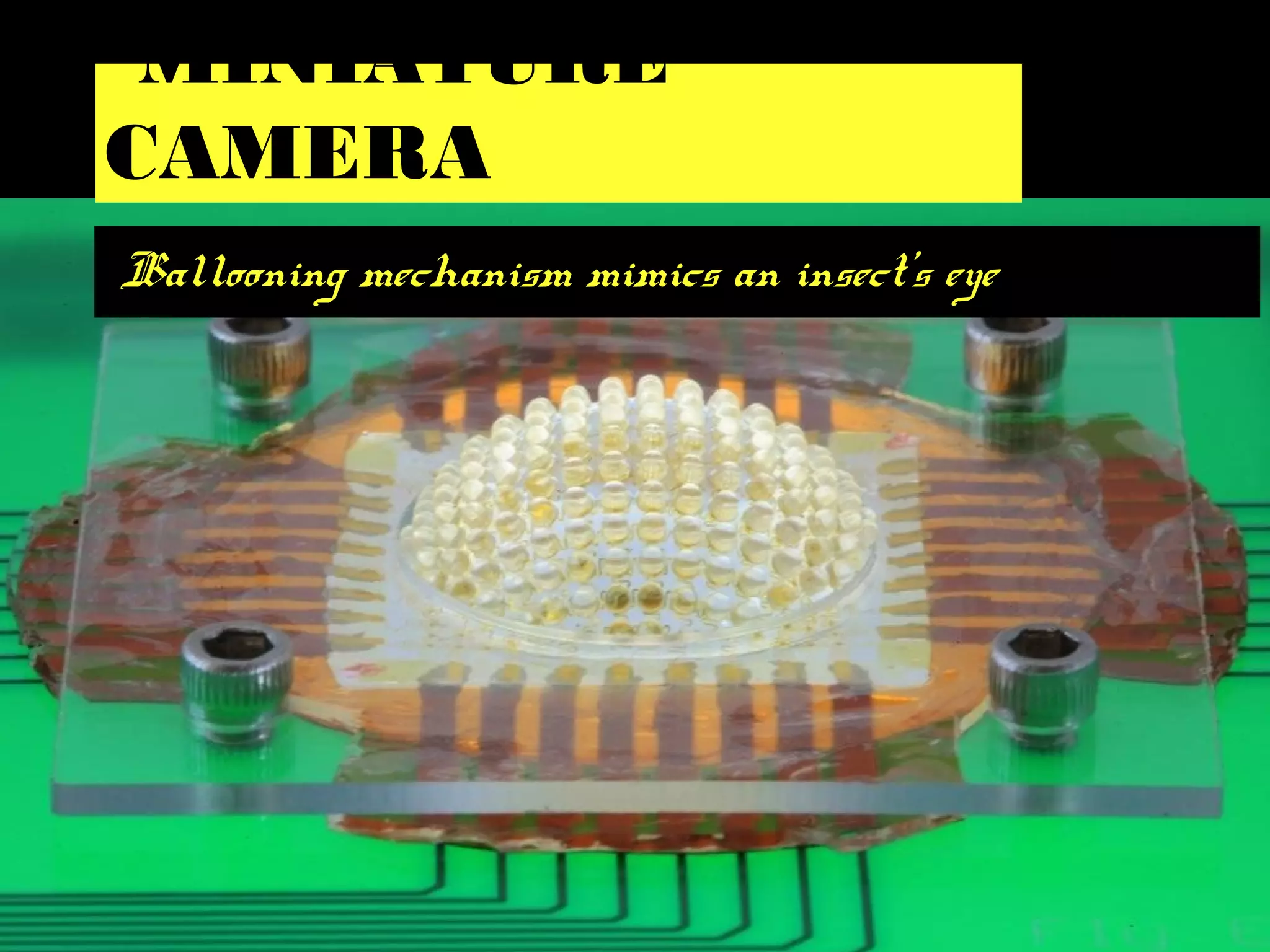 MINIATURE
CAMERA
Ballooning mechanism mimics an insect’s eye
 