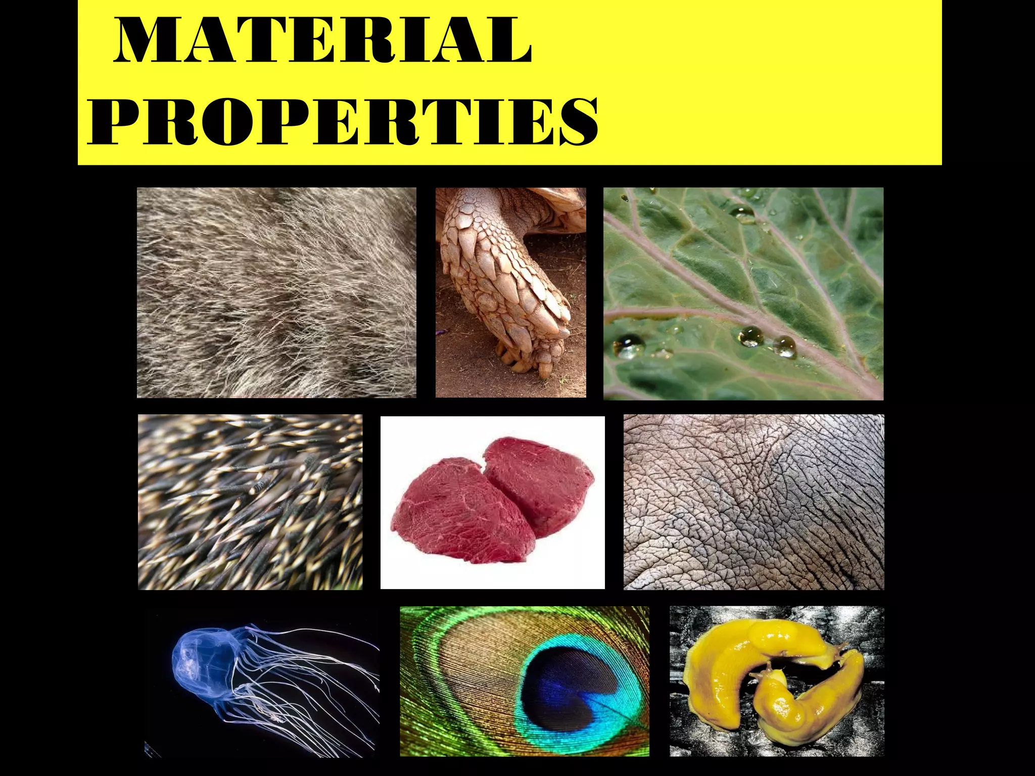 MATERIAL
PROPERTIES
 