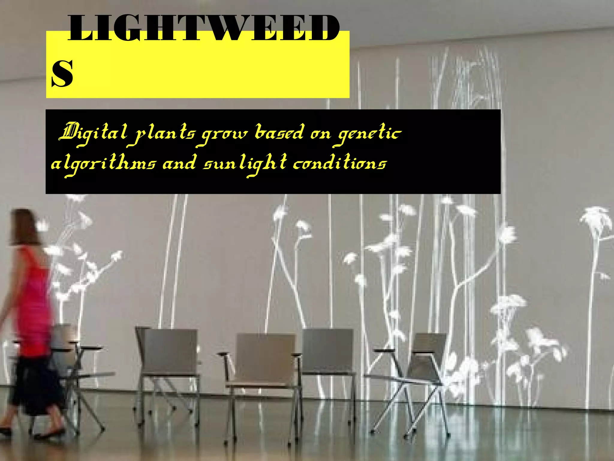 LIGHTWEED
S
Digital plants grow based on genetic
algorithms and sunlight conditions
 