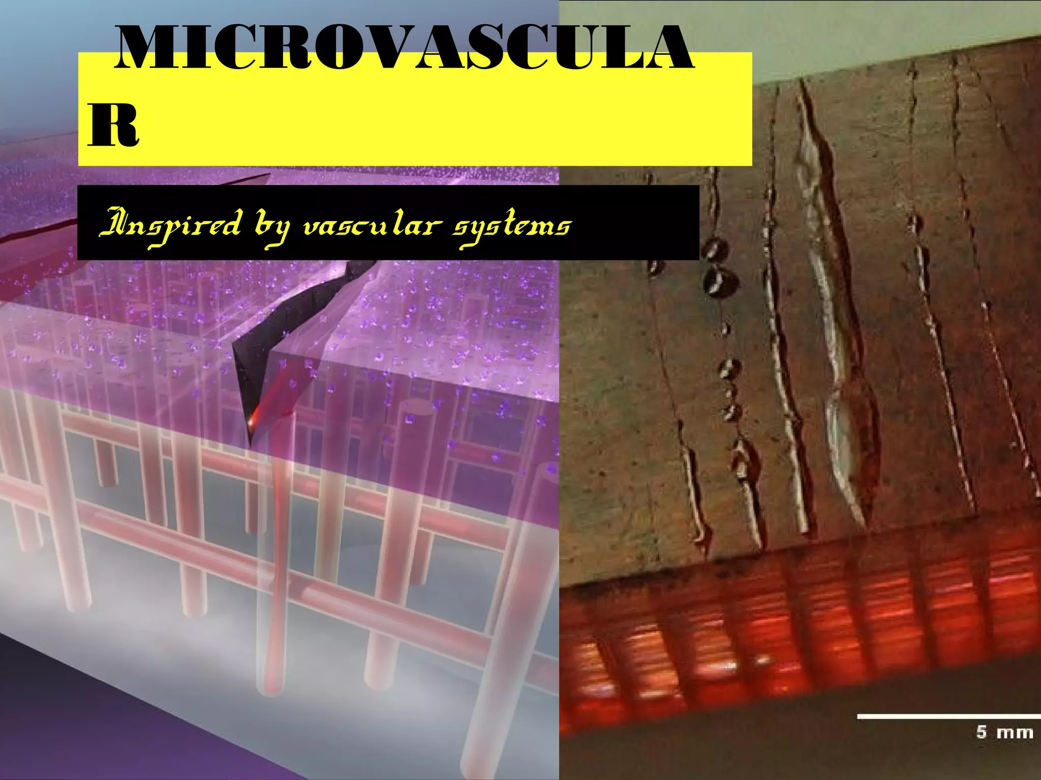 MICROVASCULA
R
Inspired by vascular systems
 