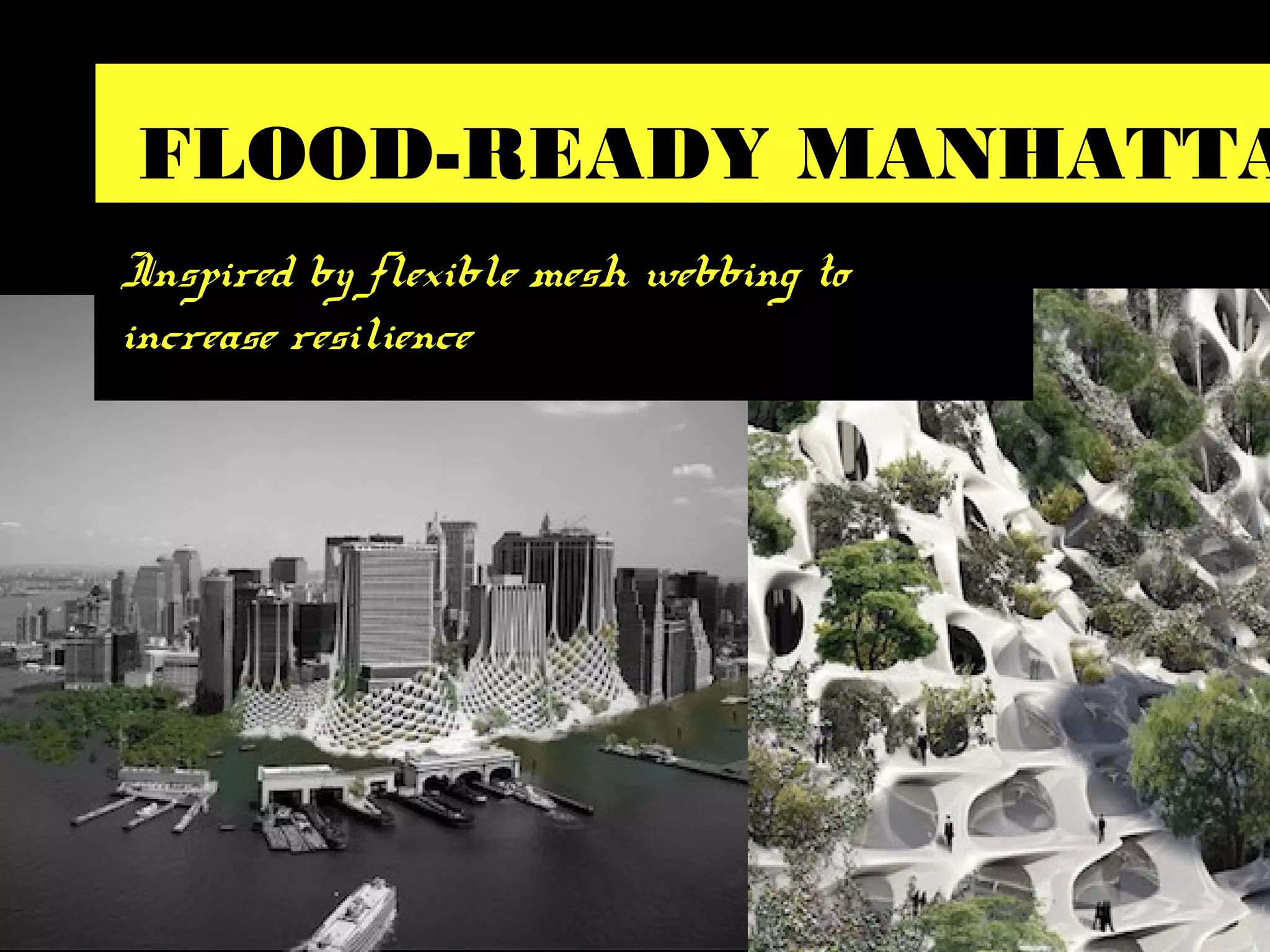 FLOOD-READY MANHATTA
Inspired by flexible mesh webbing to
increase resilience
 