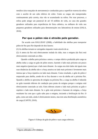 metálico (tira trançadas de aterramento) e conduzidas para a superfície externa da esfera
com o auxilio de um cabo elétrico de cobre. Como as cargas são transportadas
continuamente pela correia, elas vão se acumulando na esfera. Por esse processo, a
esfera pode atingir um potencial de até 10 milhões de volts, no caso dos grandes
geradores utilizados para experiências de física atômica, ou milhares de volts nos
pequenos geradores utilizados para demonstrações nos laboratórios de ensino (SALA,
2010).
Por que o pólen não é atraído pelo gerador.
De acordo com HALLIDAY (2008), a habilidade das abelhas para transportar
pólen de flor para flor depende de dois fatores:
(1) As abelhas tornam-se carregadas enquanto voam através do ar.
(2) A antera da flor está eletricamente isolada do chão, mas o estigma (da flor) está
eletricamente conectado ao chão.
Quando a abelha paira próxima a antera, o campo elétrico produzido pela carga na
abelha induz a carga no grão de pólen neutro, fazendo o lado mais próximo um pouco
mais negativo (ponta) que o lado mais distante. As cargas nos dois lados são iguais mas
suas distâncias da abelha não e a força atrativa no lado mais próximo é levemente mais
intensa que a força repulsiva no lado mais distante. Como resultado, o grão de pólen é
empurrado para abelha, aonde ele se fixa durante o voo da abelha até a próxima flor.
Quando a abelha se aproxima do estigma na próxima flor, a carga na abelha é induzida
no grão trazendo elétrons de condução para ponta do estigma porque o estigma está
eletricamente conectado ao solo. Estes elétrons atraem o lado mais próximo ao grão e
repelem o lado mais distante. Se o grão está próximo o bastante do estigma, a força
resultante faz com que o grão salte para o estigma, iniciando a fertilização da flor. O
grão, como um todo, ainda é eletricamente neutro, mas tem uma distribuição assimétrica
de carga (CANTO, 2010).
1
Figura 4: Esboço do grão de pólen e suas cargas elétricas.
1
Figura utilizada a fim didático.
 