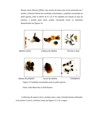 Mesmo assim, Barreto (2004), criou através de testes uma escala amostrada em 7
estados e Distrito Federal dos resultados relacionados a sujidades encontradas no
pólen apícola, onde se obteve de 0 a 25 % de sujidades em relação ao peso da
amostra, e grande parte desse resíduo encontrado foram os elementos
demonstrados nas figuras 14.
Abelha morta Cabeça de abelha Pernas e asas
Bolota de própolis Larva de abelha Coleóptera
Fonte: Lídia Maria Ruv Carelli Barreto
A diferença de aspecto entre o produto antes e após o beneficiamento utilizando-
se da esteira é visível, conforme consta nas figuras 15 a 16, a seguir.
Figura 14: Sujidades encontradas junto ao pólen apícola.
 