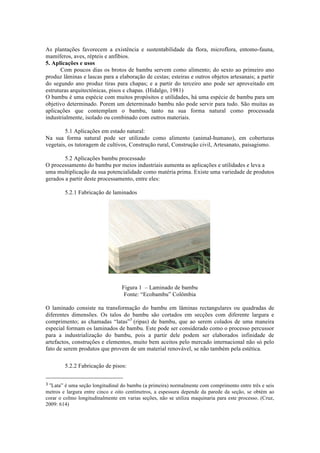 As plantações favorecem a existência e sustentabilidade da flora, microflora, entomo-fauna,
mamíferos, aves, répteis e anfíbios.
5. Aplicações e usos
Com poucos dias os brotos de bambu servem como alimento; do sexto ao primeiro ano
produz lâminas e lascas para a elaboração de cestas; esteiras e outros objetos artesanais; a partir
do segundo ano produz tiras para chapas; e a partir do terceiro ano pode ser aproveitado em
estruturas arquitectónicas, pisos e chapas. (Hidalgo, 1981)
O bambu é uma espécie com muitos propósitos e utilidades, há uma espécie de bambu para um
objetivo determinado. Porem um determinado bambu não pode servir para tudo. São muitas as
aplicações que contemplam o bambu, tanto na sua forma natural como processada
industrialmente, isolado ou combinado com outros materiais.
5.1 Aplicações em estado natural:
Na sua forma natural pode ser utilizado como alimento (animal-humano), em coberturas
vegetais, os tutoragem de cultivos, Construção rural, Construção civil, Artesanato, paisagismo.
5.2 Aplicações bambu processado
O processamento do bambu por meios industriais aumenta as aplicações e utilidades e leva a
uma multiplicação da sua potencialidade como matéria prima. Existe uma variedade de produtos
gerados a partir deste processamento, entre eles:
5.2.1 Fabricação de laminados
Figura 1 – Laminado de bambu
Fonte: “Ecobambu” Colômbia
O laminado consiste na transformação do bambu em lâminas rectangulares ou quadradas de
diferentes dimensões. Os talos do bambu são cortados em secções com diferente largura e
comprimento; as chamadas “latas”3
(ripas) de bambu, que ao serem colados de uma maneira
especial formam os laminados de bambu. Este pode ser considerado como o processo percussor
para a industrialização do bambu, pois a partir dele podem ser elaborados infinidade de
artefactos, construções e elementos, muito bem aceitos pelo mercado internacional não só pelo
fato de serem produtos que provem de um material renovável, se não também pela estética.
5.2.2 Fabricação de pisos:
!!!!!!!!!!!!!!!!!!!!!!!!!!!!!!!!!!!!!!!!!!!!!!!!!!!!!!!!
3!“Lata” é uma seção longitudinal do bambu (a primeira) normalmente com comprimento entre três e seis
metros e largura entre cinco e oito centímetros, a espessura depende da parede da seção, se obtém ao
corar o colmo longitudinalmente em varias seções, não se utiliza maquinaria para este processo. (Cruz,
2009: 614)
 