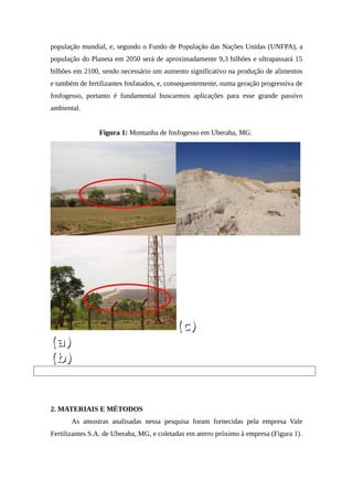 Ciis 2013 anais-completo