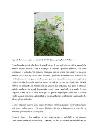 Ciis 2013 anais-completo