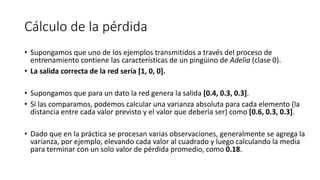 Cálculo de la pérdida
• Supongamos que uno de los ejemplos transmitidos a través del proceso de
entrenamiento contiene las características de un pingüino de Adelia (clase 0).
• La salida correcta de la red sería [1, 0, 0].
• Supongamos que para un dato la red genera la salida [0.4, 0.3, 0.3].
• Si las comparamos, podemos calcular una varianza absoluta para cada elemento (la
distancia entre cada valor previsto y el valor que debería ser) como [0.6, 0.3, 0.3].
• Dado que en la práctica se procesan varias observaciones, generalmente se agrega la
varianza, por ejemplo, elevando cada valor al cuadrado y luego calculando la media
para terminar con un solo valor de pérdida promedio, como 0.18.
 