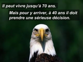 Mais pour y arriver, à 40 ans il doit prendre une sérieuse décision. Il peut vivre jusqu’à 70 ans. 