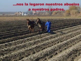 … nos la legaron nuestros abuelos a nuestros padres. 