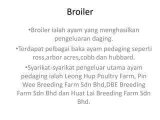 Broiler
    •Broiler ialah ayam yang menghasilkan
              pengeluaran daging.
•Terdapat pelbagai baka ayam pedaging seperti
      ross,arbor acres,cobb dan hubbard.
   •Syarikat-syarikat pengeluar utama ayam
  pedaging ialah Leong Hup Poultry Farm, Pin
  Wee Breeding Farm Sdn Bhd,DBE Breeding
Farm Sdn Bhd dan Huat Lai Breeding Farm Sdn
                      Bhd.
 