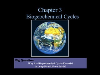 Chapter 3
Biogeochemical Cycles
Big Question
Why Are Biogeochemical Cycles Essential
to Long-Term Life on Earth?
 