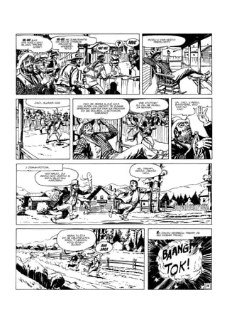 Ci i Tr - NE ZS - VB - ZG