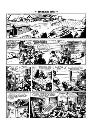 Ci i Tr - NE ZS - VB - ZG