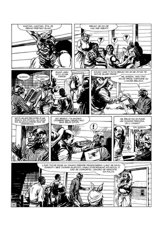 Ci i Tr - NE ZS - VB - ZG