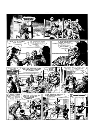 Ci i Tr - NE ZS - VB - ZG