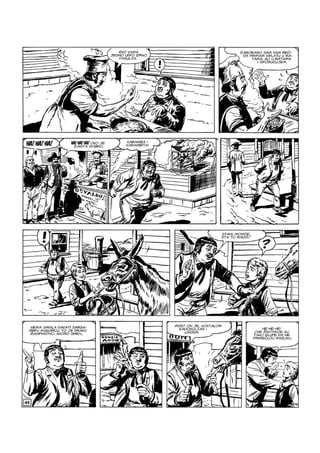 Ci i Tr - NE ZS - VB - ZG