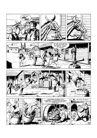 Ci i Tr - NE ZS - VB - ZG