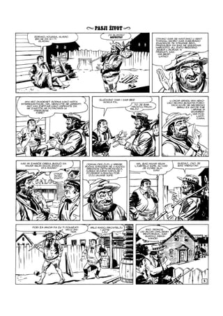 Ci i Tr - NE ZS - VB - ZG