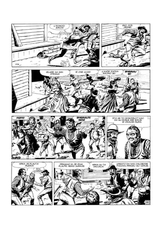 Ci i Tr - NE ZS - VB - ZG