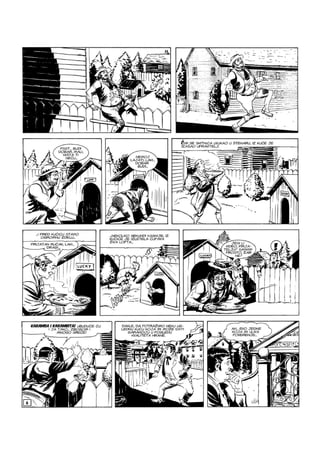 Ci i Tr - NE ZS - VB - ZG