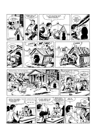 Ci i Tr - NE ZS - VB - ZG