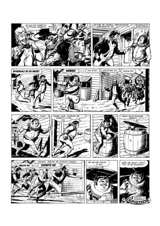 Ci i Tr - NE ZS - VB - ZG