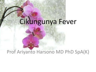 Cikungunya Fever

Prof Ariyanto Harsono MD PhD SpA(K)

 