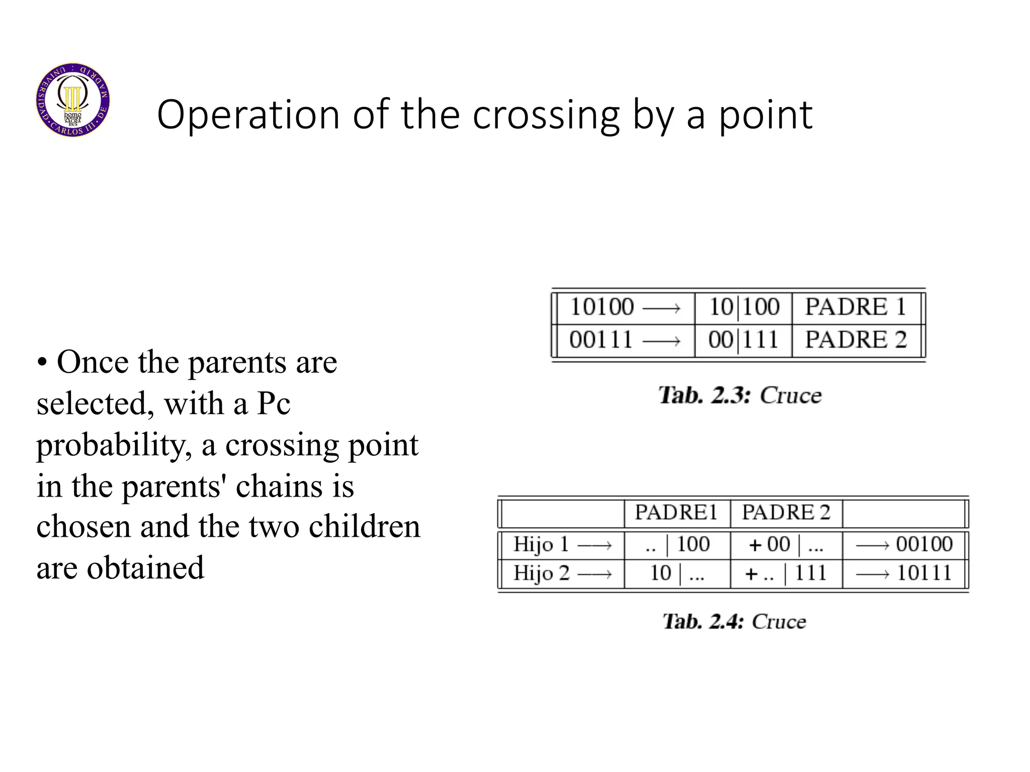 Operation of the crossing by a point
• Once the parents are
selected, with a Pc
probability, a crossing point
in the parents' chains is
chosen and the two children
are obtained
 