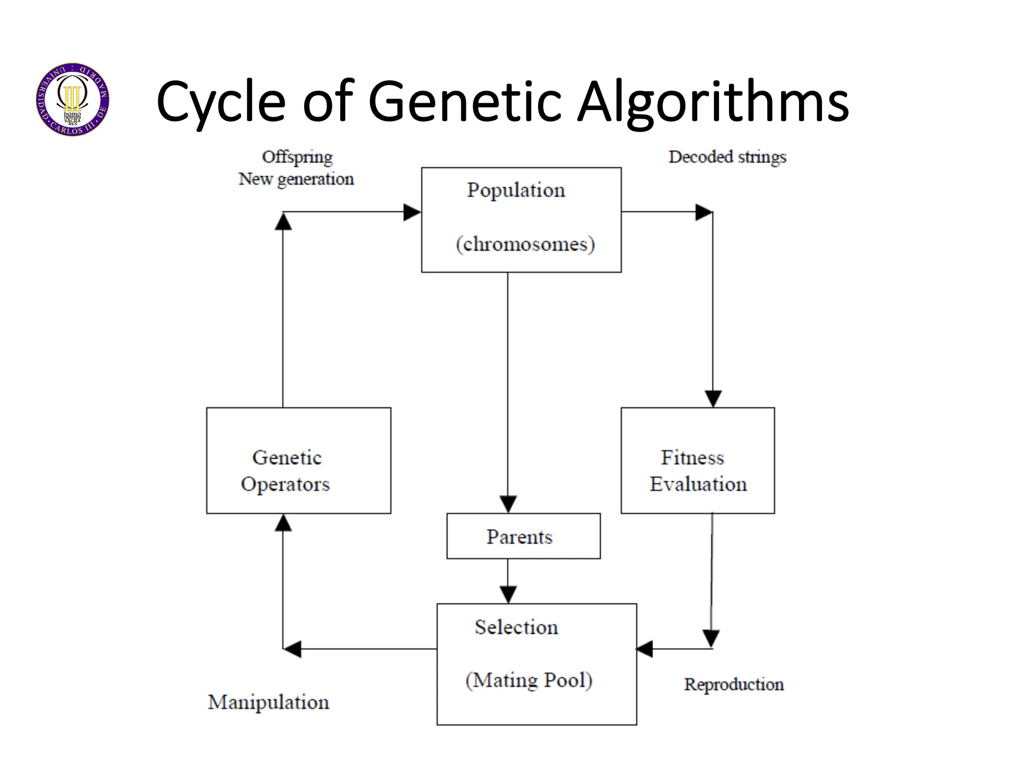 Cycle of Genetic Algorithms
 