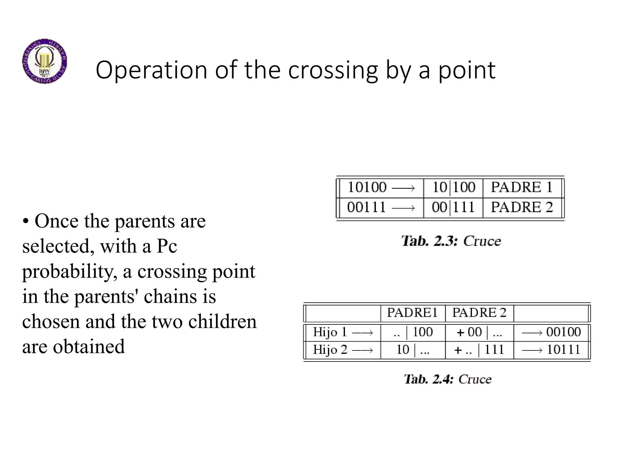 Operation of the crossing by a point
• Once the parents are
selected, with a Pc
probability, a crossing point
in the parents' chains is
chosen and the two children
are obtained
 