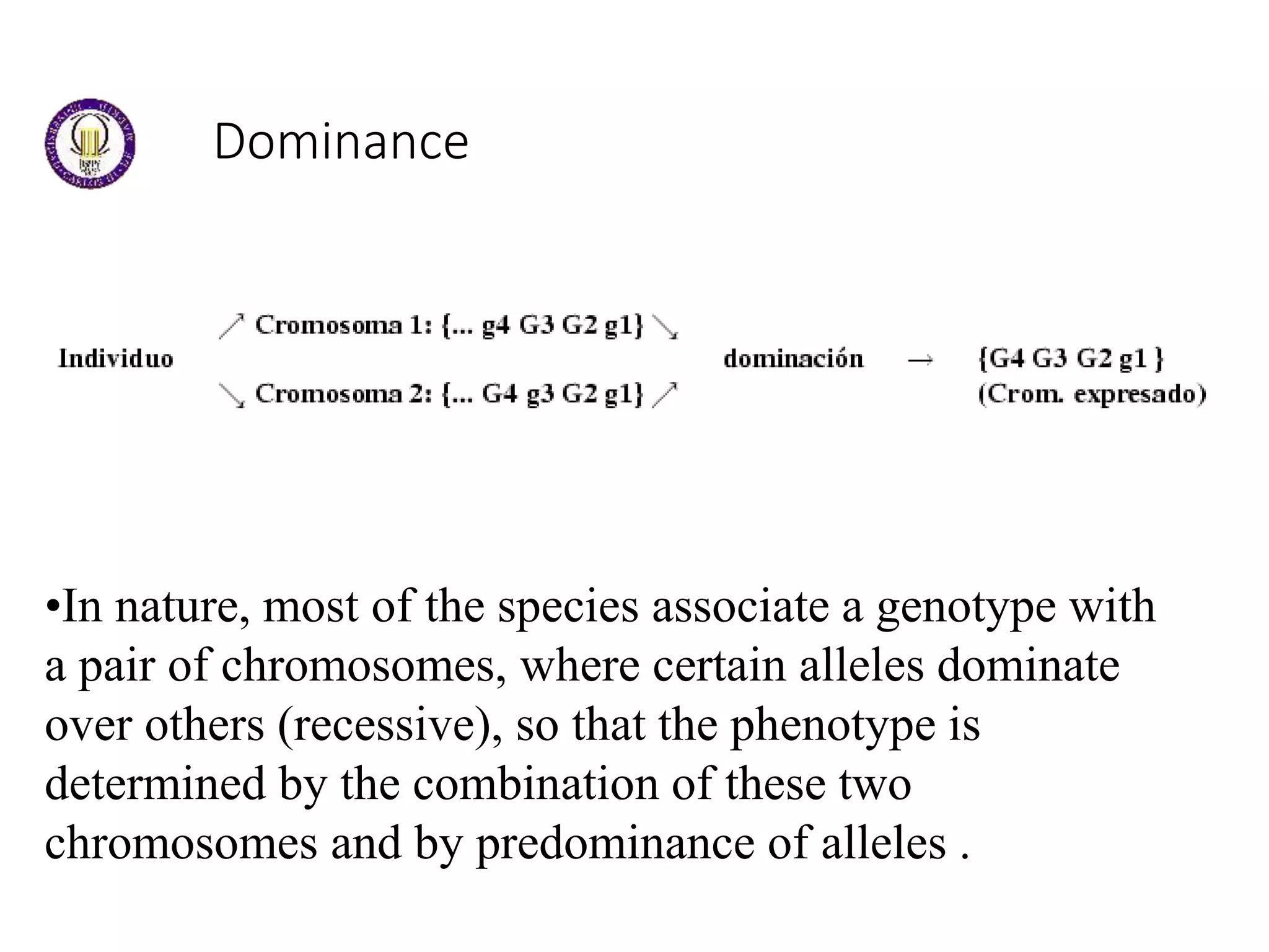 Dominance
•In nature, most of the species associate a genotype with
a pair of chromosomes, where certain alleles dominate
over others (recessive), so that the phenotype is
determined by the combination of these two
chromosomes and by predominance of alleles .
 