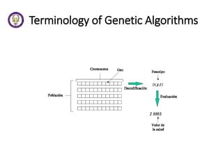 Terminology of Genetic Algorithms
 