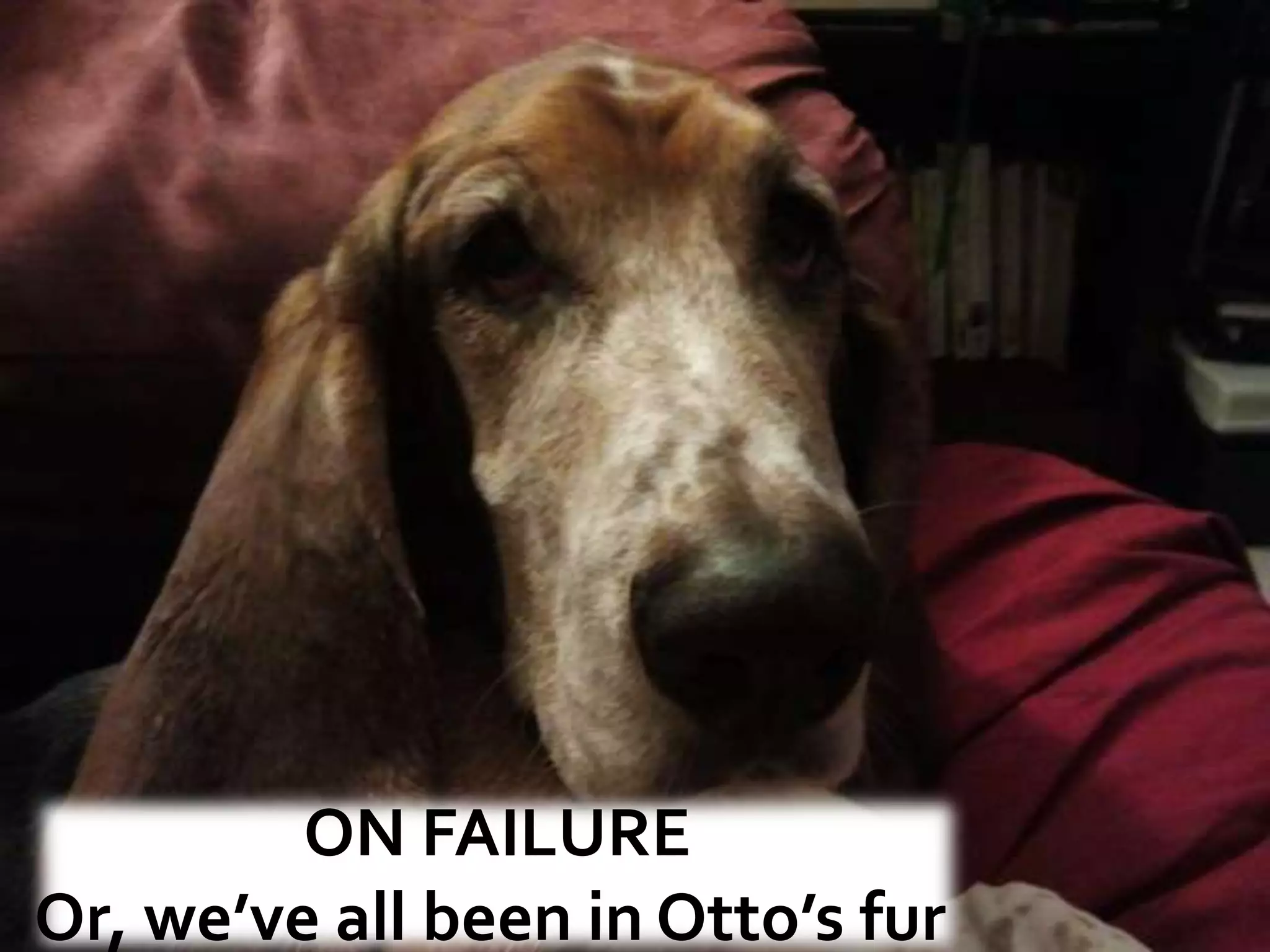 ON FAILURE
Or, we’ve all been in Otto’s fur
 
