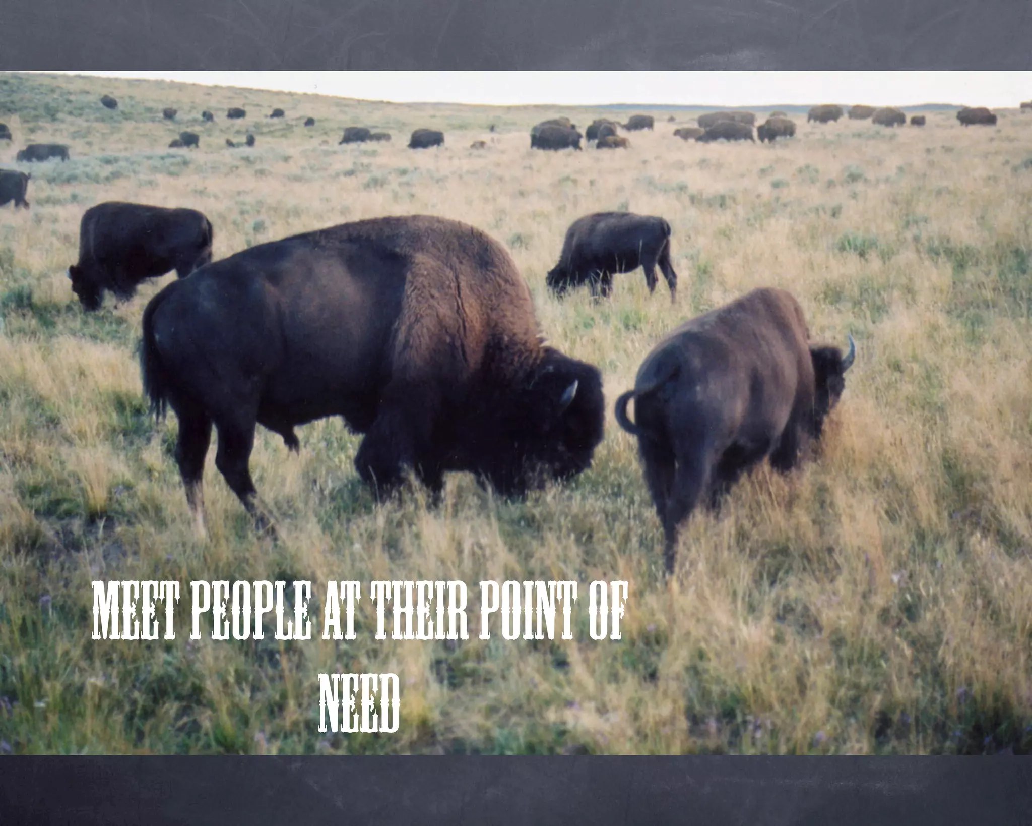 Innovation, Services & Practices at the Darien Library