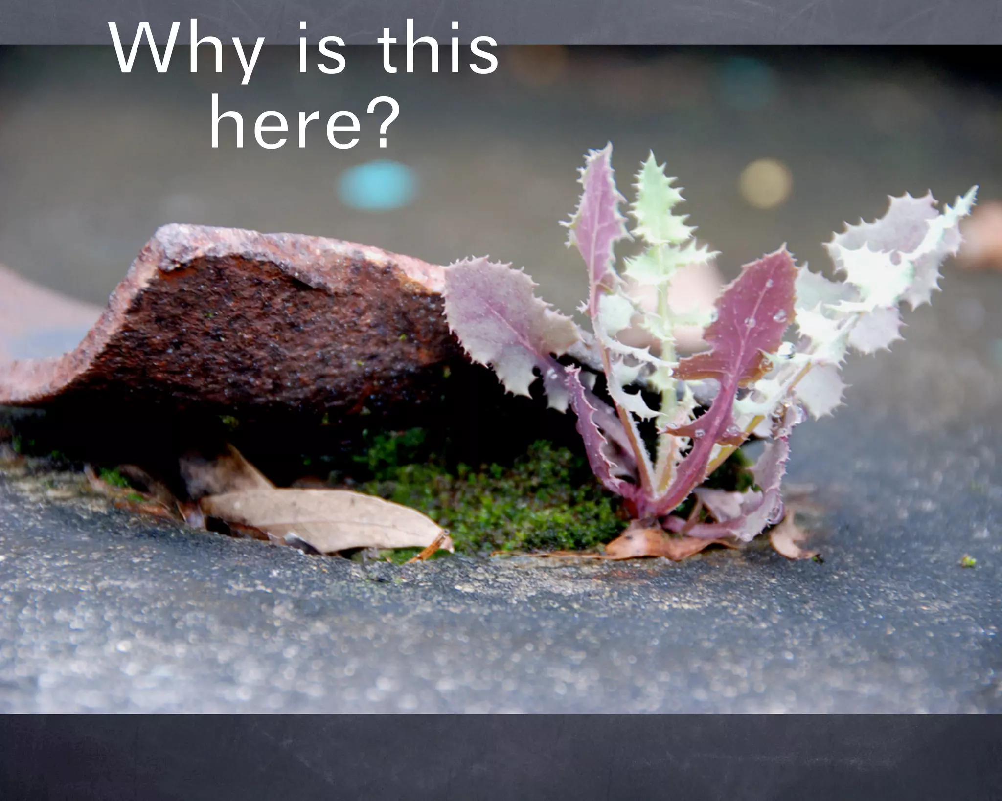 Innovation, Services & Practices at the Darien Library