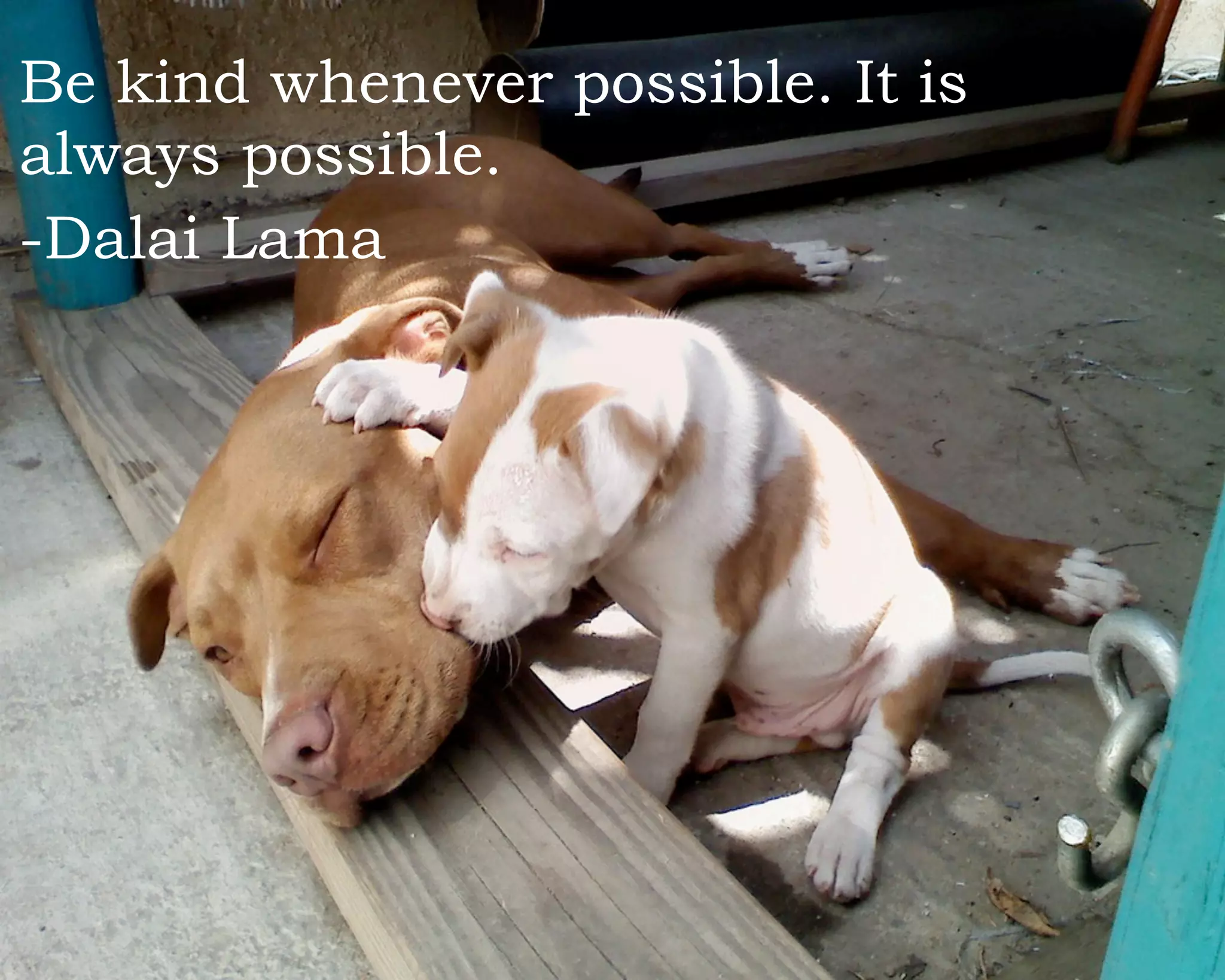 Innovation, Services & Practices at the Darien Library