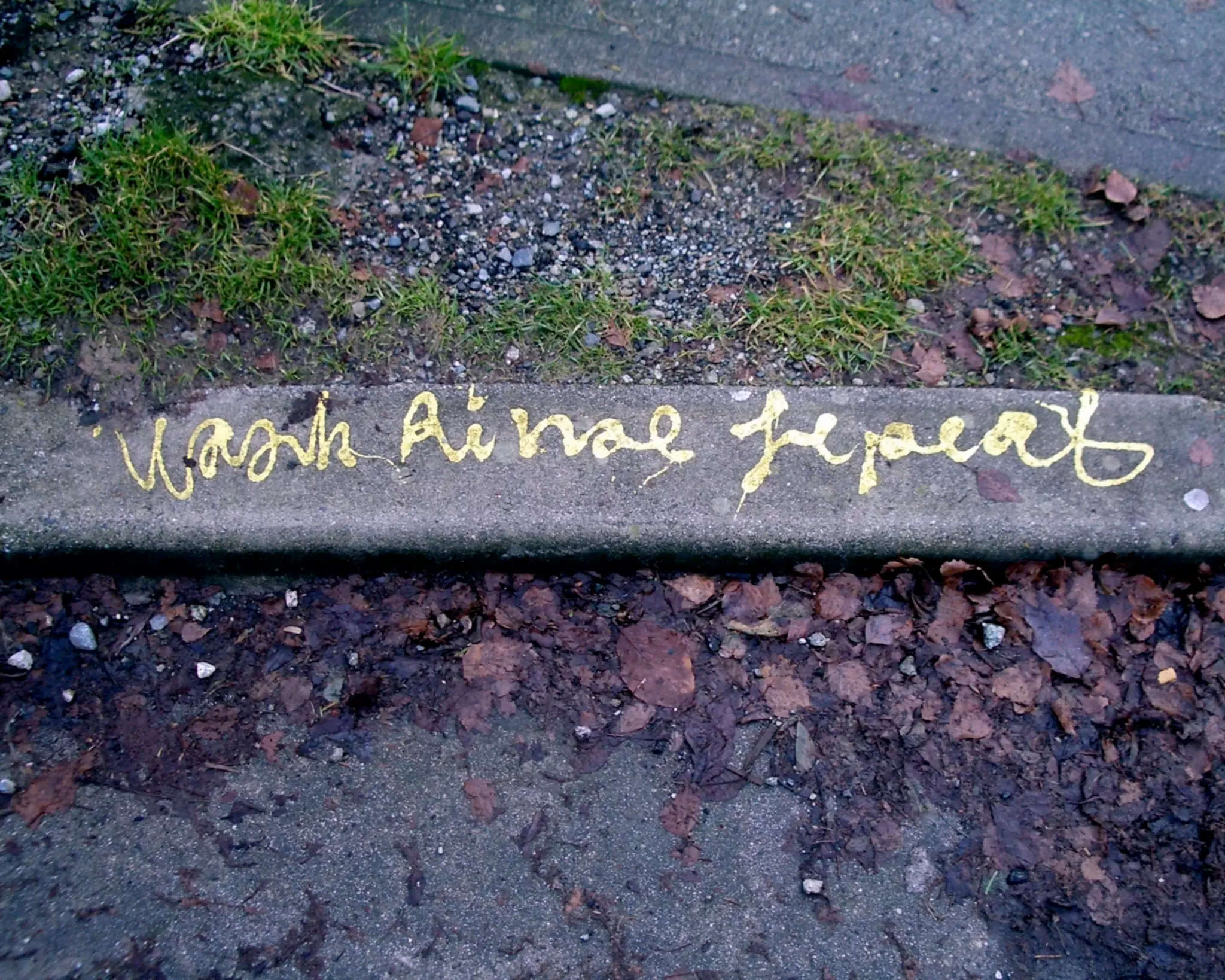 Innovation, Services & Practices at the Darien Library